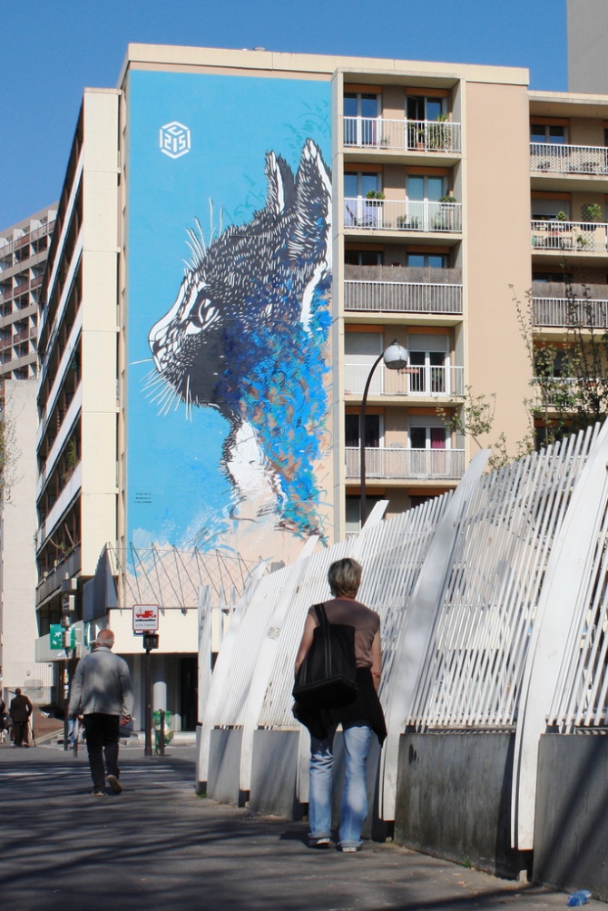 C215 Street Art Le Chat Paris 13 me