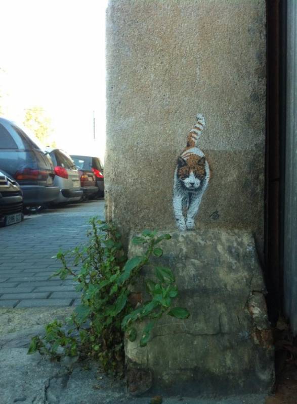 jps-street-art-cat-barcelona-2