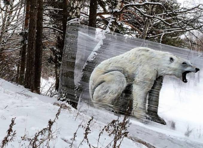 Bear cellograffiti // Ches - street-art