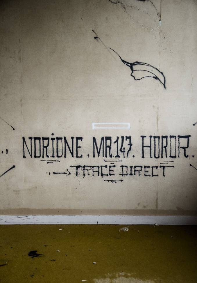 norione-horor-mr-147-coqs_9