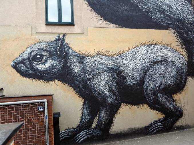 ROA - Copenhague // juillet 2015 @vidos - street-art-avenue