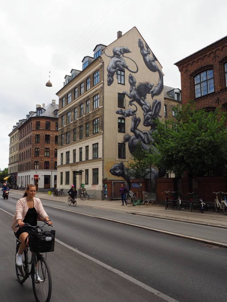 ROA /// Surface Project, Copenhague