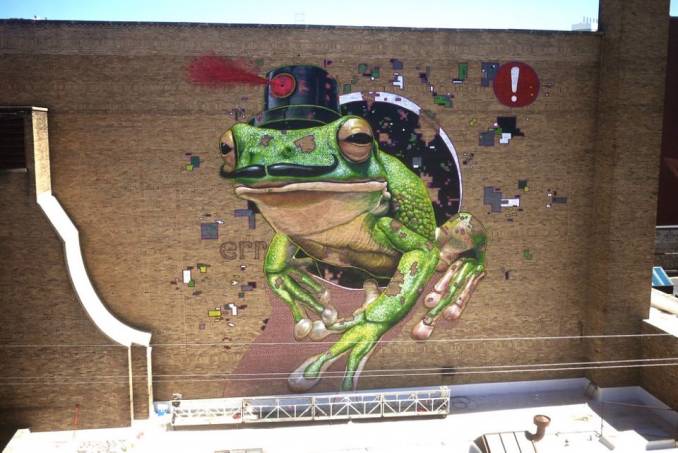 mto - street art - frog - milwaukee