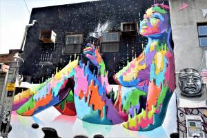 dasic fernandez - street art - bushwick collective - brooklyn - new york