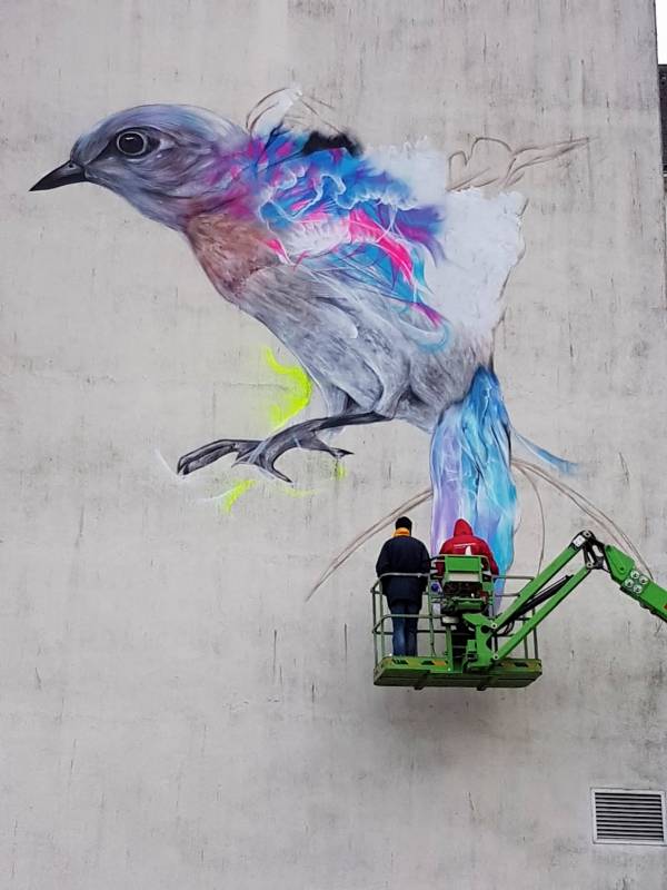 l7m - street art - collège jules simon - oiseau - vannes