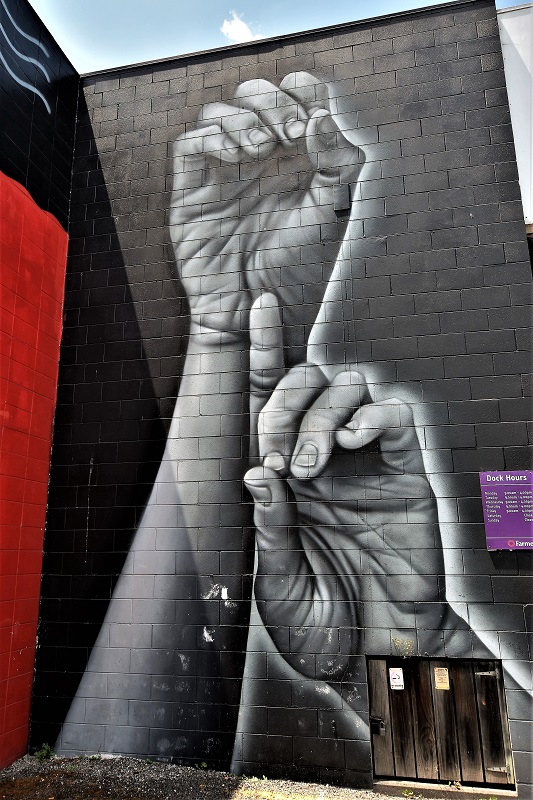 owen dippie - street art - taupo - nouvelle zélande