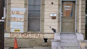 banksy - street art - graffiti - new orleans - rat