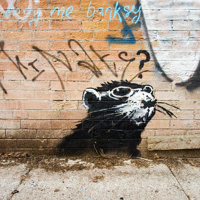 banksy - street art - graffiti - toronto - rat