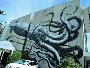 roa - street art - nelson - nouvelle zélande
