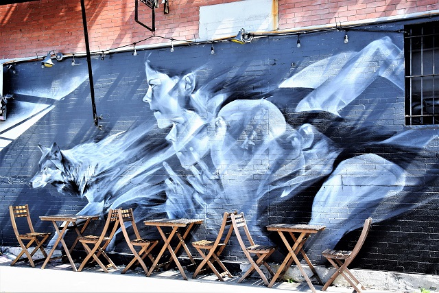 li-hill - street art - broooklyn - new york