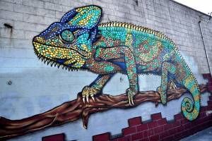 mr prvrt - street art - brooklyn - new york