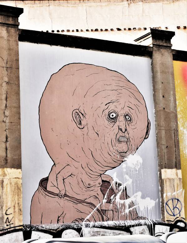 nemo's - street art - madrid