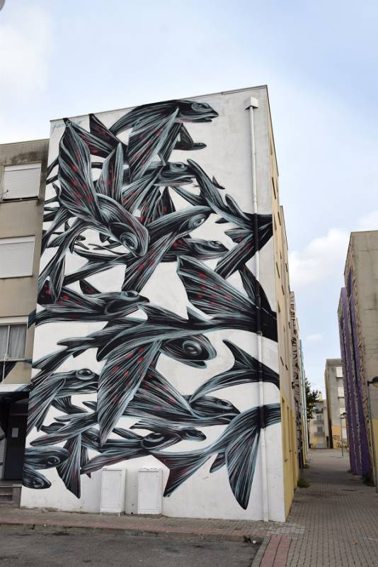 Pantonio - Street Art Avenue