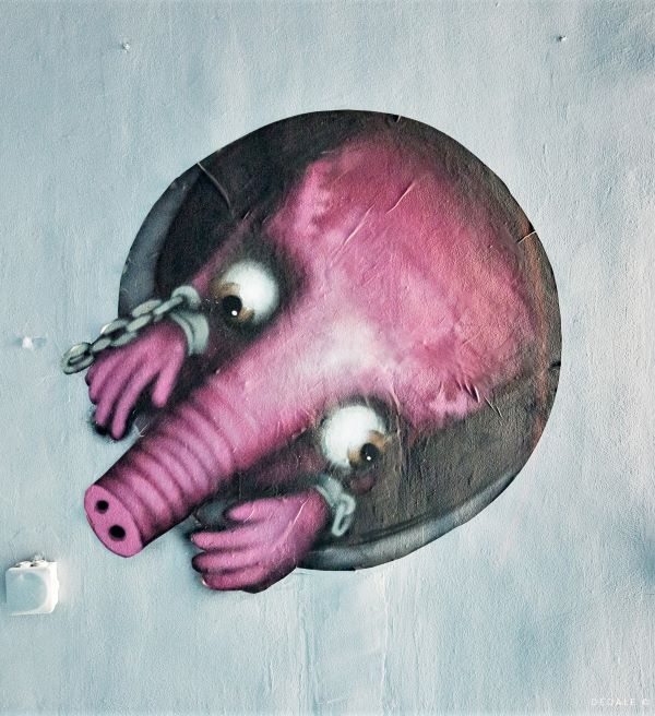 Ador - Street Art Avenue