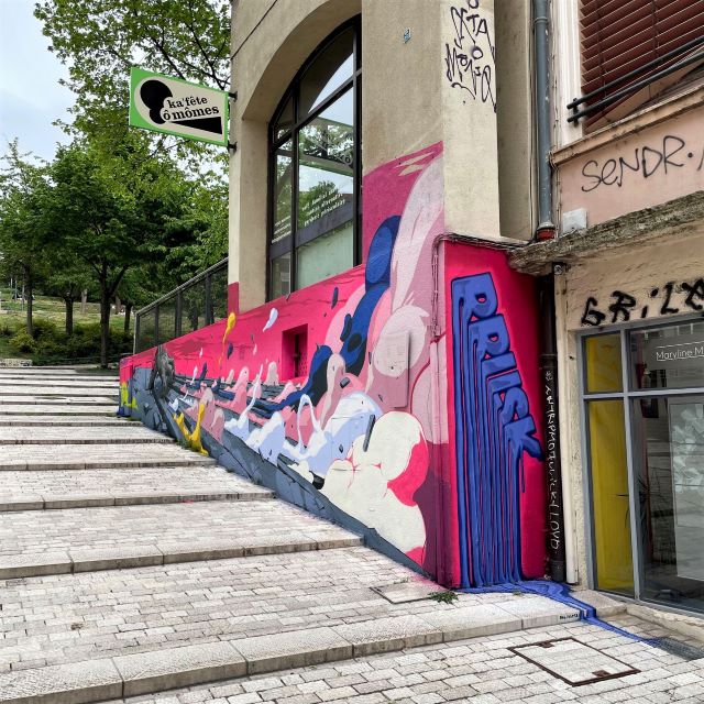 brusk -street art avenue - lyon - france