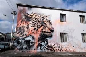 sonny - street art avenue - le cap - afrique du sud