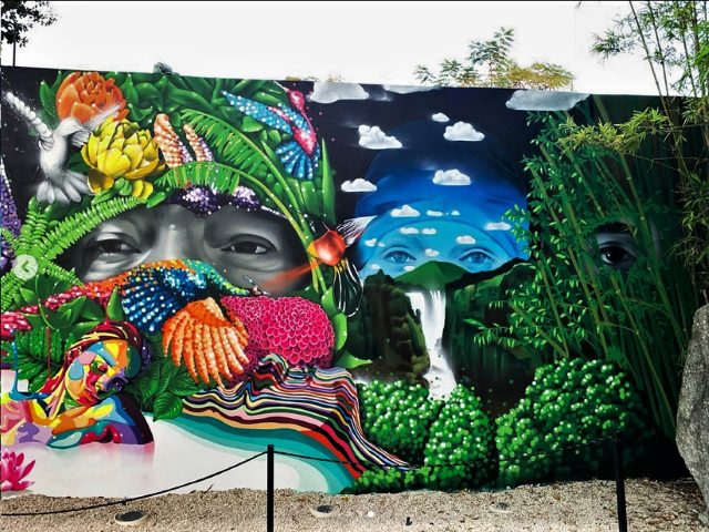 dasic fernandez - street art avenue - wynwood - miami - usa