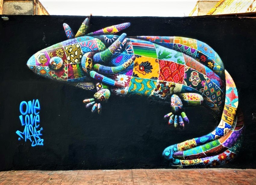 louis masai - street art avenue - mexico - mexique