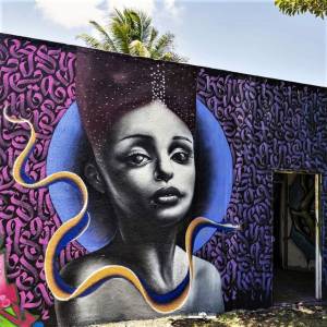 vincent box - street art avenue - la réunion - france