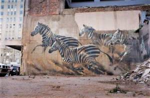 faith47 - street art avenue - johannesbourg - afrique du sud
