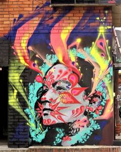 stinkfish - street art avenue - bogota - colombie