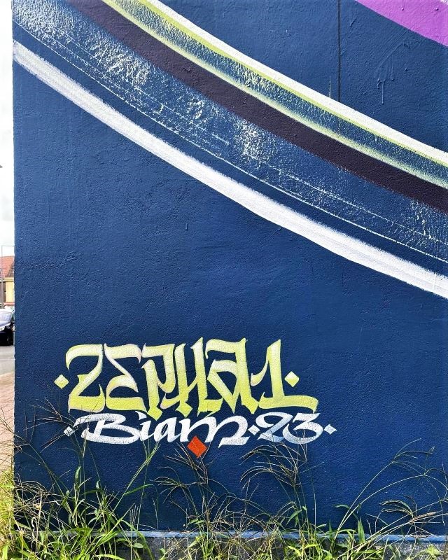 zepha - street art avenue - lille - france