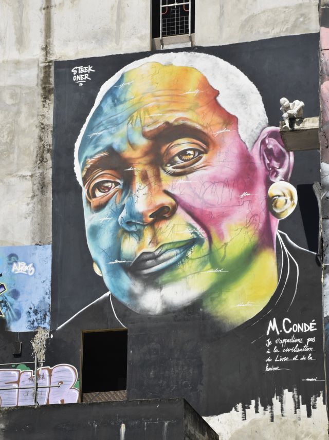 steek oner - street art avenue - point a pitre - guadeloupe - france