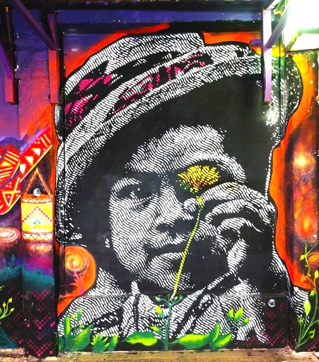 colectivo dexpierte - street art avenue - popayan - colombie