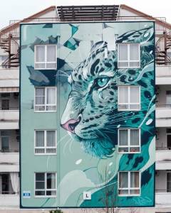 kalouf - street art avenue - sochi - russie