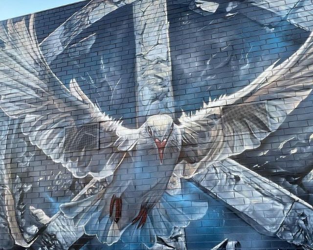 adnate - street art - avenue - mordialloc - australie