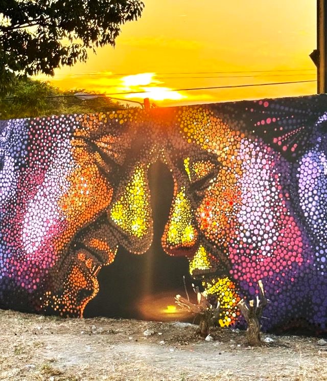 dasic fernandez - street art avenue - jamaique
