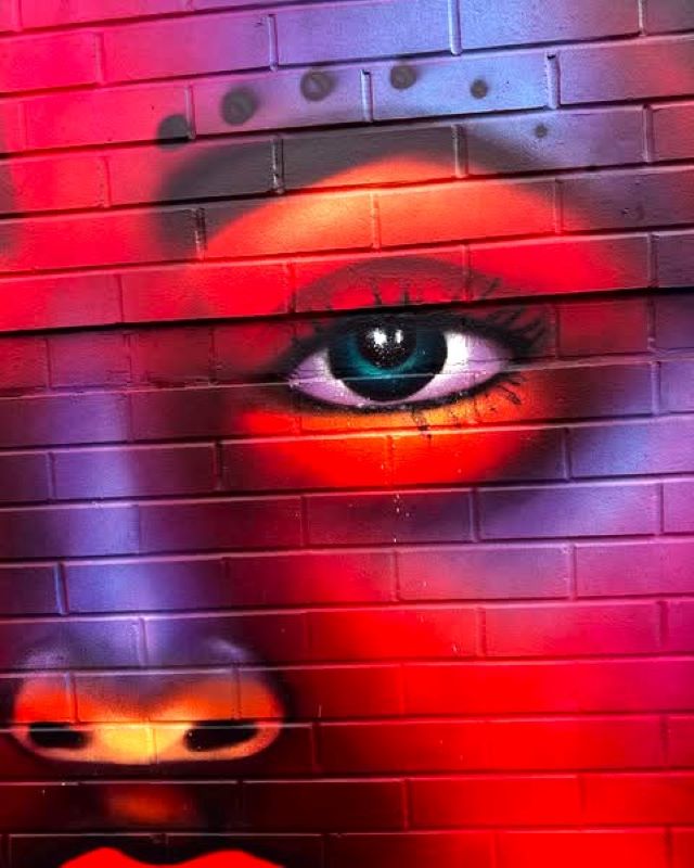 shalak attack - street art avenue - hamilton - canada