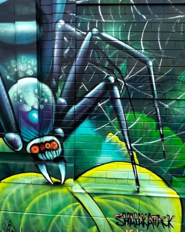 shalak attack - street art avenue - hamilton - canada
