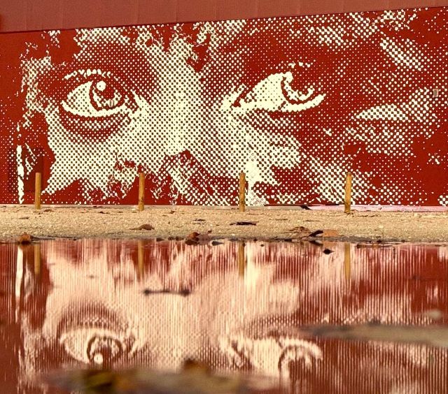 vhils - street art avenue - montemor o velho - portugal