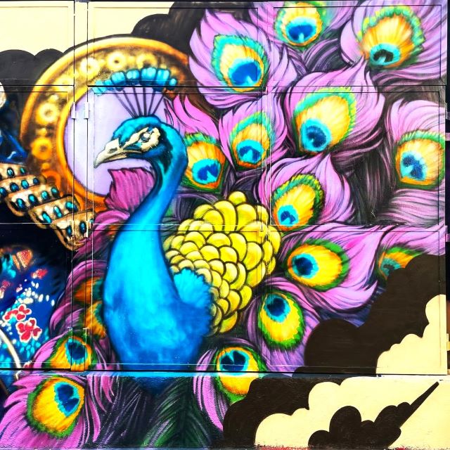 anton seoane - rokdoctoy - street art avenue - barcelone - espagne