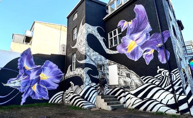 caratoes - street art avenue - reykjavik - islande