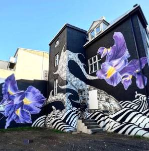 caratoes - street art avenue - reykjavik - islande