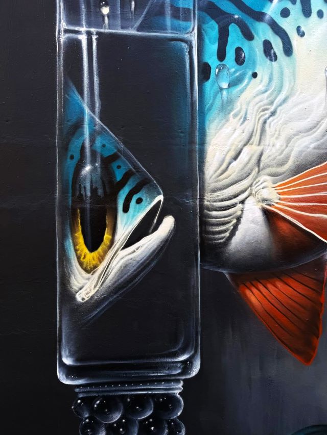 veks van hillik - street art avenue - dijon - france