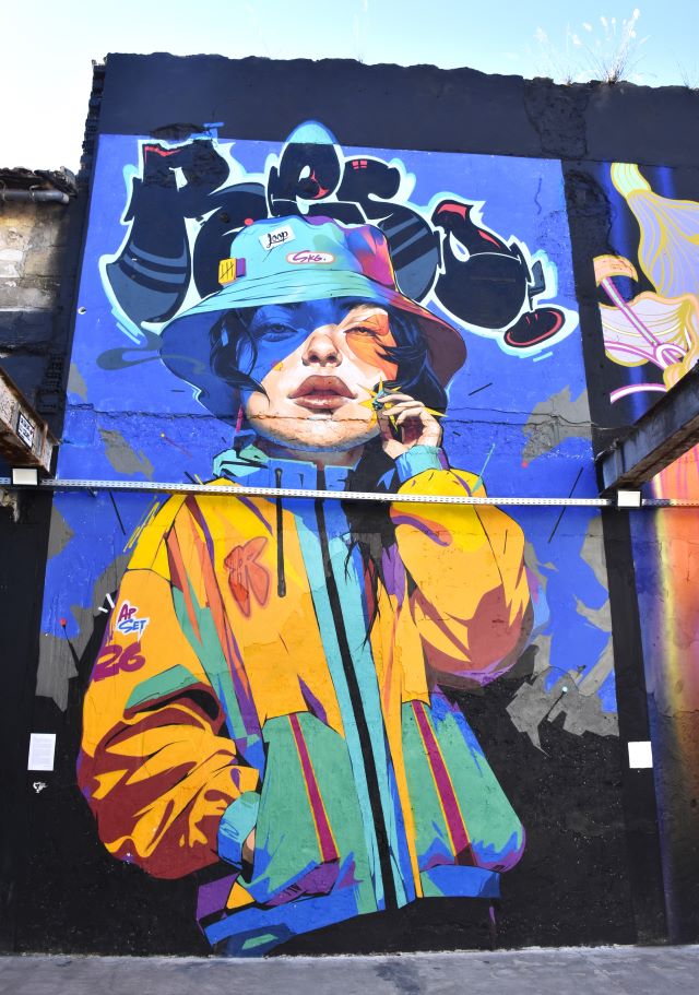 l'aerosol -street art avenue - marseille - france