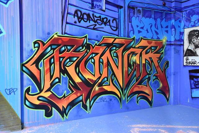 l'aerosol -street art avenue - marseille - france