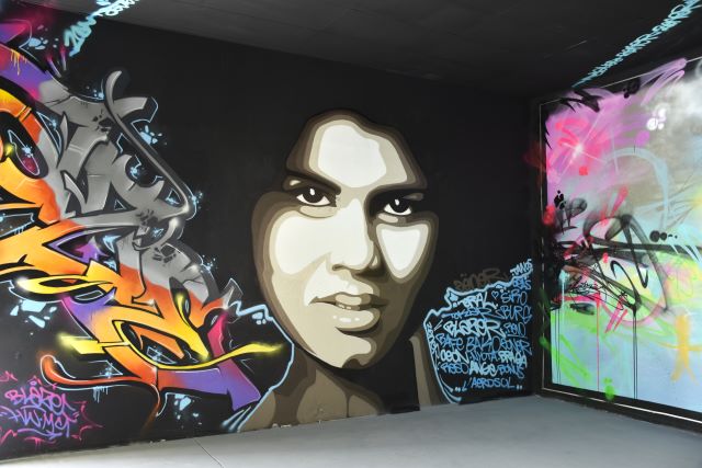 l'aerosol -street art avenue - marseille - france
