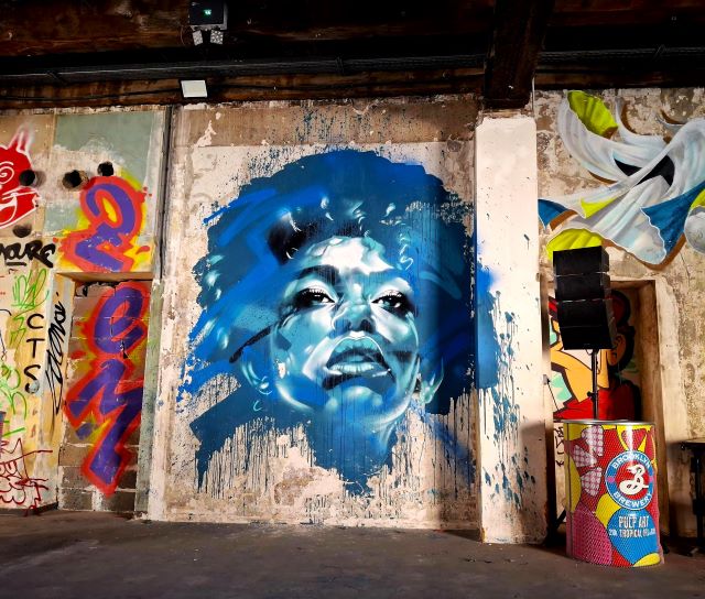 l'aerosol -street art avenue - marseille - france
