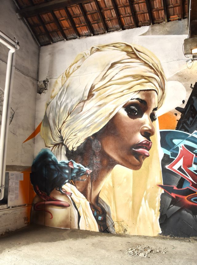 l'aerosol -street art avenue - marseille - france