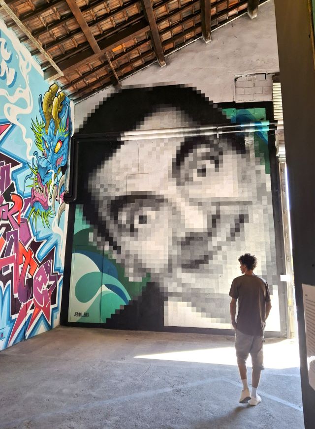 l'aerosol -street art avenue - marseille - france